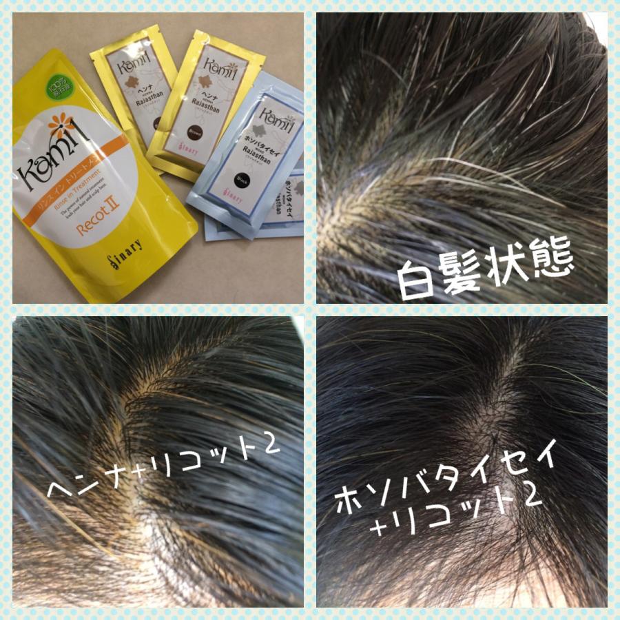 染毛料】シナリー化粧品 カミル ホソバタイセイ 思い出深く